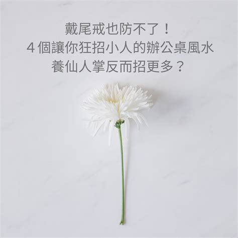 怎麼防小人|職場怎麼防小人？辦公桌上什麼能擺，什麼不能擺？